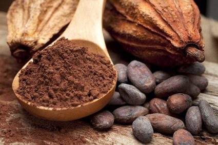 Perú impulsará la producción y exportación de cacao